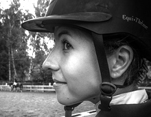 Equi_Theme_Horse